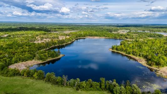 TBD Lamon Rd NE, Bemidji, 明尼蘇達州 56601, 美國