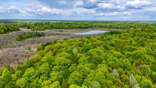 TBD Lamon Rd NE, Bemidji, 明尼蘇達州 56601, 美國