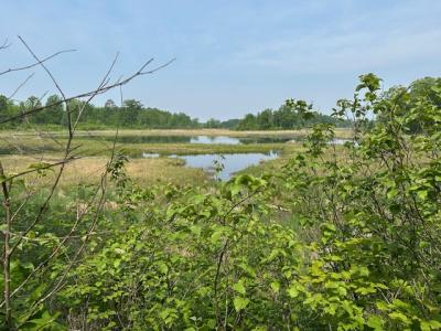 TBD Lamon Rd NE, Bemidji, 明尼蘇達州 56601, 美國