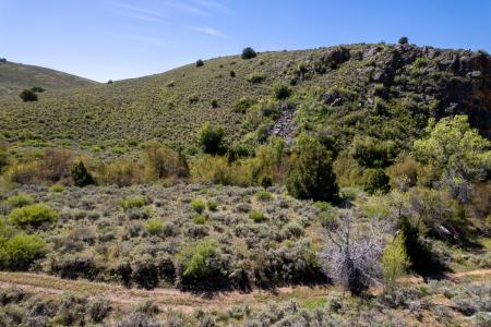 17500 N Paradise Park Road, Lapoint, Utah 84039, États-Unis