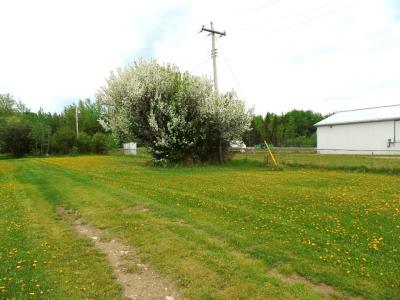 LOT 2 1ST STREET E, Faust, Alberta T0G 0X0, Canada