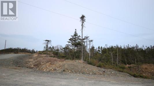 9 PENINSULA ROAD, Ocean Pond, ניופאונדלנד ולברדור A0B 3K0, קנדה