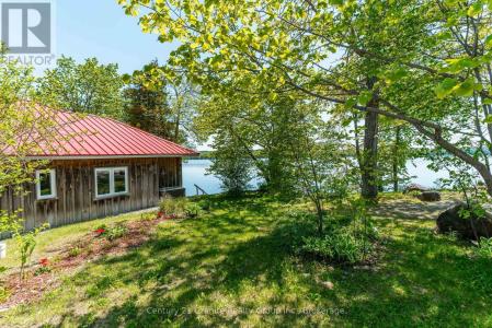359 AVERY POINT ROAD, Kawartha Lakes (carden), Ontario L0K 1W0, CANADÁ