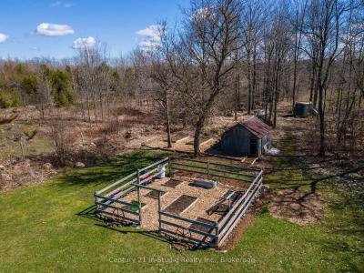 315421 HIGHWAY 6 HIGHWAY, Chatsworth, Ontario N0H 2V0, Kanada
