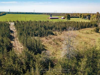 3311 BLESSINGTON ROAD, Tyendinaga, Ontario K0K 3A0, Canada