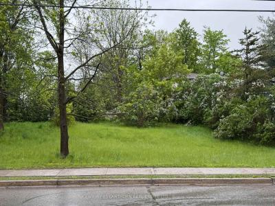 0 ST LAWRENCE STREET W, Centre Hastings, Ontario K0K 2K0, Canada