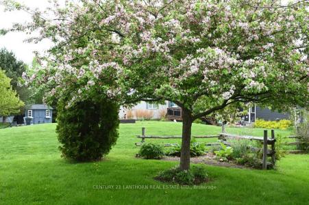 18 CRETNEY DRIVE S, Prince Edward County, Ontario K0K 3L0, Canadá