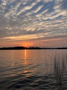 0000 CEDARSTONE ROAD, Stone Mills, オンタリオ K0K 3G0, カナダ