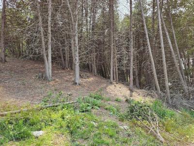 0000 CEDARSTONE ROAD, Stone Mills, Ontario K0K 3G0, Canadá