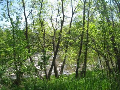 327 RIVER ROAD, Swan River, Manitoba R0L 1Z0, Canada