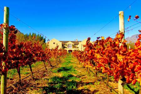 Franschhoek, Western Cape, South Africa