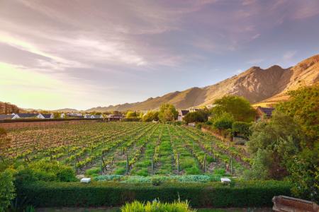 Franschhoek, Western Cape, South Africa
