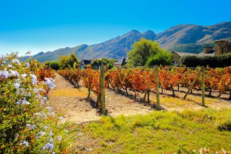 Franschhoek, Western Cape, South Africa