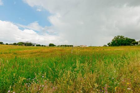 Coruche, Santarém 2100-651, Portugal