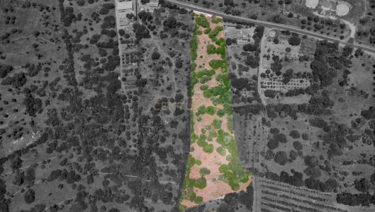 Silves, Faro 8375-000, Portugal