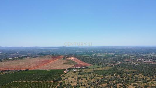 Silves, 파로 8375, 포르투갈