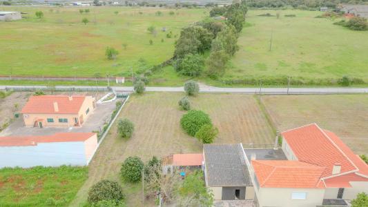 Cartaxo, Santarem 2070-719, Portogallo