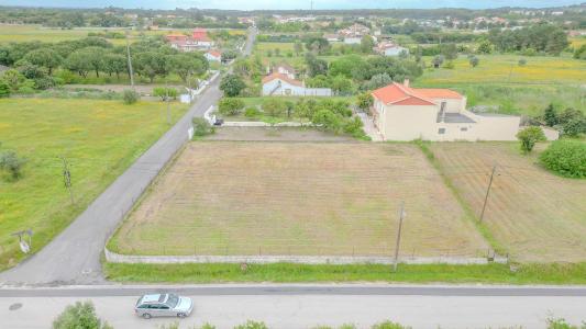 Cartaxo, Santarem 2070-719, Portogallo