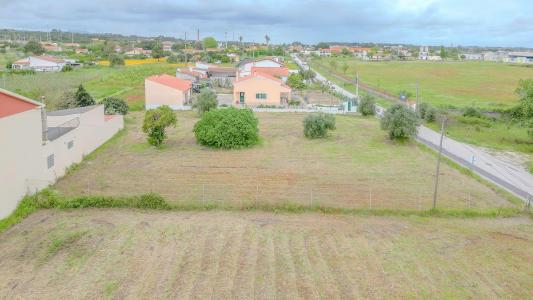 Cartaxo, Santarem 2070-719, Portugalia