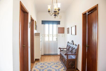 Cartaxo, Santarem 2070-732, Portugal