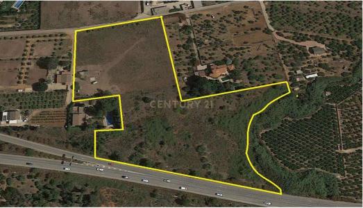 Alacant/Alicante, Comunitat Valenciana 03700, İspanya