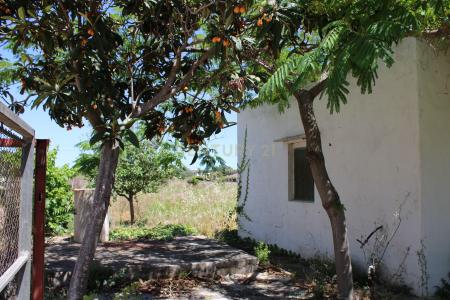 Alacant/Alicante, Comunitat Valenciana 03700, Spain