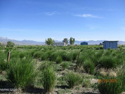 11855 Shelton Lane, Paradise Valley, نيفادا 89426, الولايات المتحدة