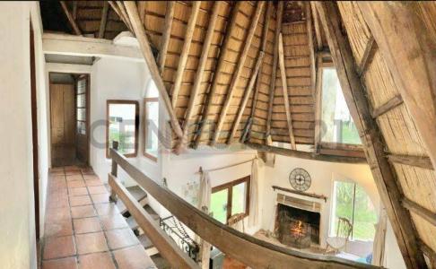 antigona , Punta Ballena, Maldonado 15200, Uruguay