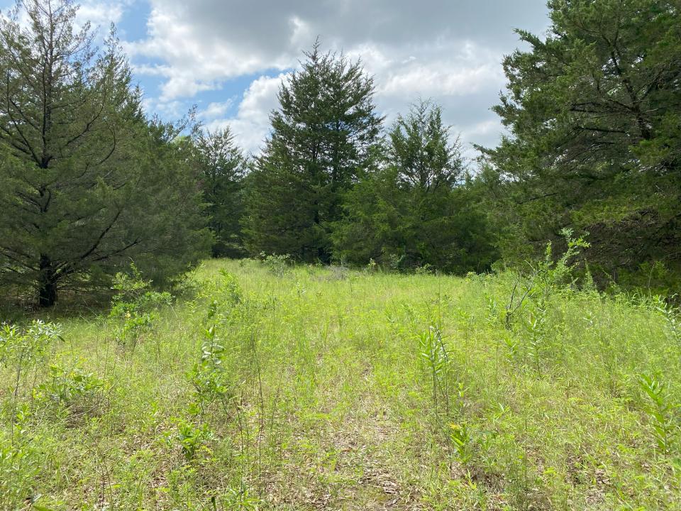Tract 5 RS County Road 1605, East Tawakoni, 德克薩斯州 75472, 美國