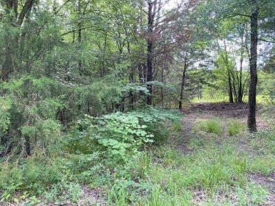 Tract 5 RS County Road 1605, East Tawakoni, 德克薩斯州 75472, 美國