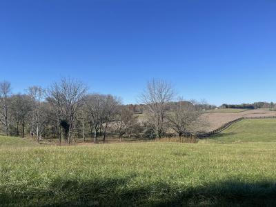 Lot 87 Edgewater, Russell, Kentucky 42642