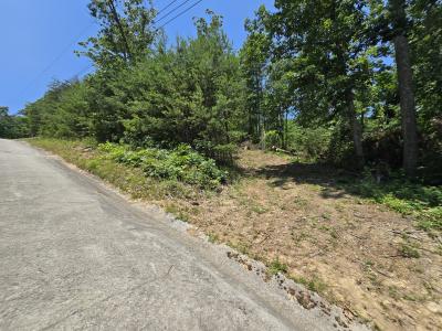 Lot 10 Wallen Ln, Bean Station, Теннесси 37708, Соединенные Штаты