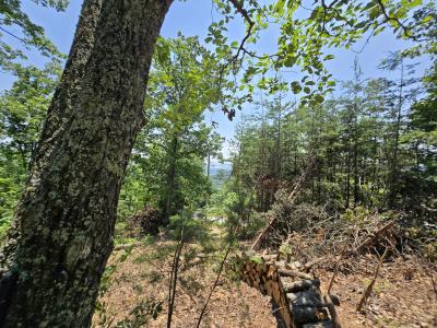 Lot 10 Wallen Ln, Bean Station, Теннесси 37708, Соединенные Штаты
