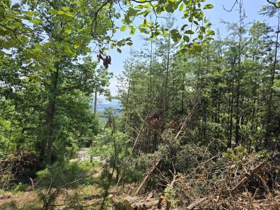 Lot 10 Wallen Ln, Bean Station, Теннесси 37708, Соединенные Штаты