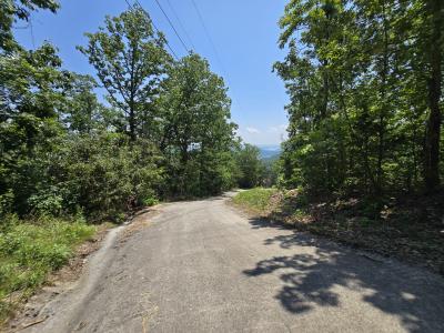 Lot 10 Wallen Ln, Bean Station, Теннесси 37708, Соединенные Штаты