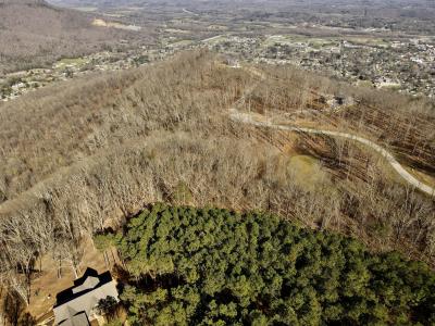 80 High Point Lane, Jasper, テネシー 37347, アメリカ合衆国