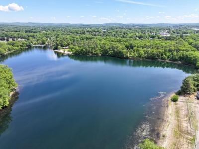 145 Homestead Ave, Springfield, Massachusetts 01151, USA