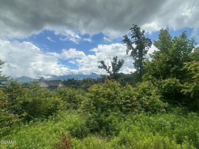 909 Woodland Drive, Gatlinburg, Tennessee 37738, États-Unis