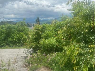 909 Woodland Drive, Gatlinburg, Tennessee 37738