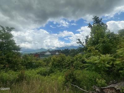 909 Woodland Drive, Gatlinburg, Tennessee 37738