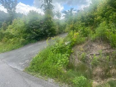 909 Woodland Drive, Gatlinburg, Tennessee 37738