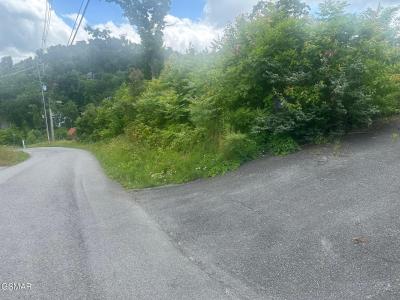 909 Woodland Drive, Gatlinburg, Tennessee 37738
