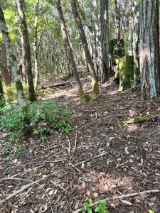 25143 Blue Jay Place, Willits, California 95490, HOA KỲ