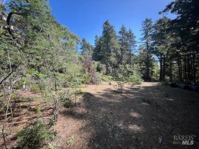 46109 Fish Rock Road, Gualala, Kaliforniya 95445, Amerika Birleşik Devletleri