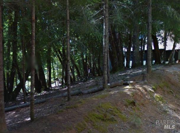 24981 Goose Court , Willits, Kaliforniya 95490, Amerika Birleşik Devletleri