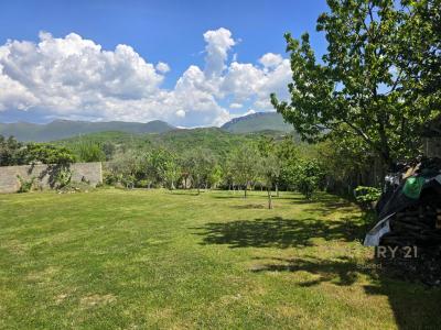 Bërzhitë, Tirana, Albania