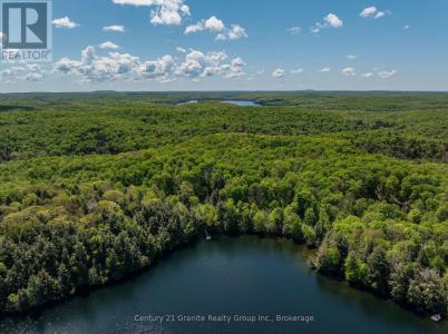 1145 MINK ROAD, Dysart Et Al (dudley), Ontario K0M 1S0, Canadá