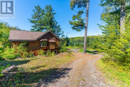 1226 TRAPLINE TRAIL, Dysart Et Al (guilford), Ontario K0M 1S0, Canada