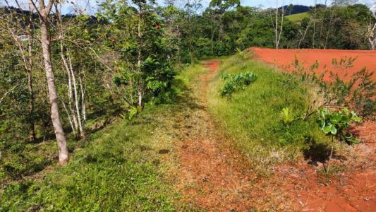 Bijagual Carara Turrubáres, San José 61105, Kostaryka