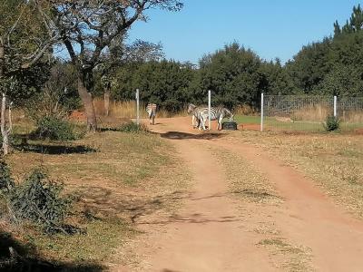Pretoria, Gauteng, 남아프리카